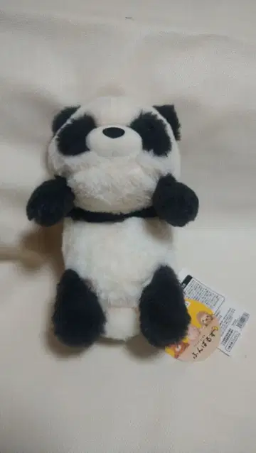 우리들은 고양이 등을 펴주는  코709