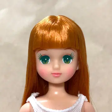 아키짱 작은 가게 BASIC 모델