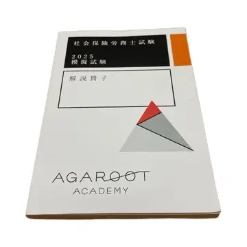 2025년 사노사 아가루토 모의시험 모시 사회보험노무사