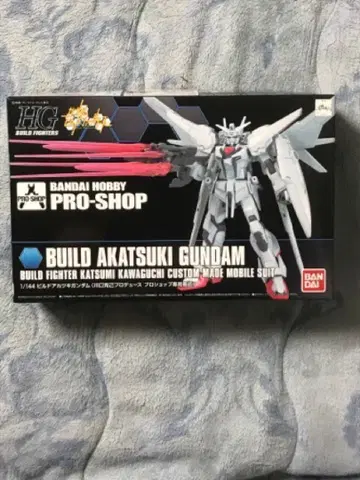 HG 프로샵 한정판 빌드 아카츠키 건담 새상품 미조립