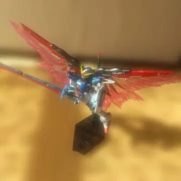 RG 디스티니 건담 (티타늄 피니쉬 ver) + 빛의 날개 세트 완성품