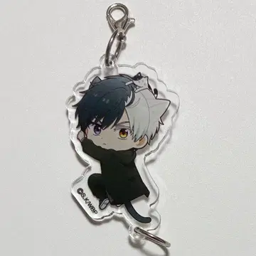 윈브레 사쿠라 하루카 츠나가루 참 힛츠키냑