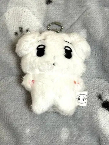 aespa 마스터 봉제 인형 인형 윈터 아크링 키링 포함