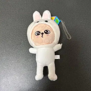 stray kids 승민 백참