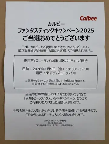 도쿄 디즈니랜드 대관 2명