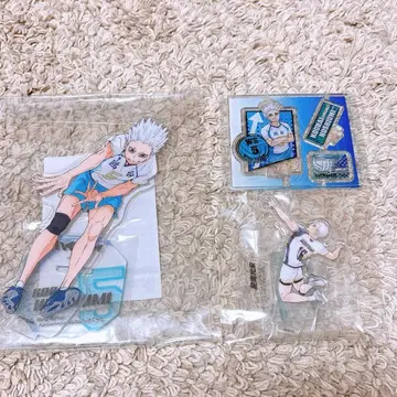 하이큐 호시우미 코라이 아크릴 스탠드 묶음 판매