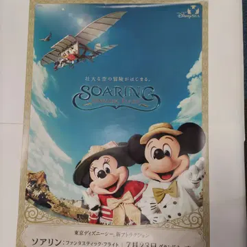 디즈니 포스터 B1 사이즈 소어링