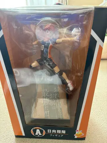 하이큐!! Happy 복권 히나타 쇼요 A상