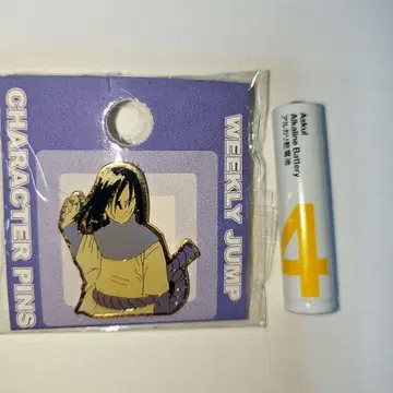 [ 당시물 ] NARUTO 나루토 오로치마루 핀즈