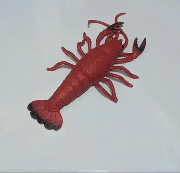 랍스터 쭉쭉 늘어나는 최강 리얼 바다 생물 BIG 사이즈
