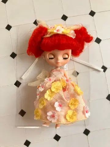 미니 브라이스 시네마 프린세스 본체 아웃핏