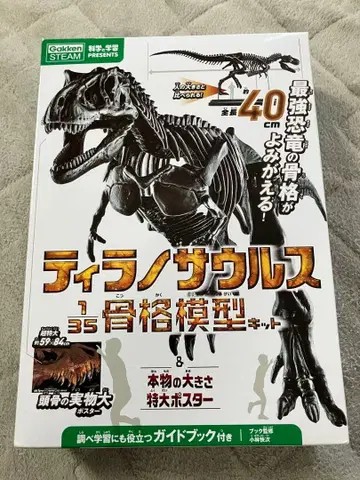 [학켄] Steam 티라노사우루스 골격 모형 키트