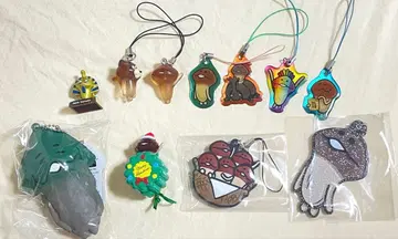 버섯 재배 키트 묶음 판매