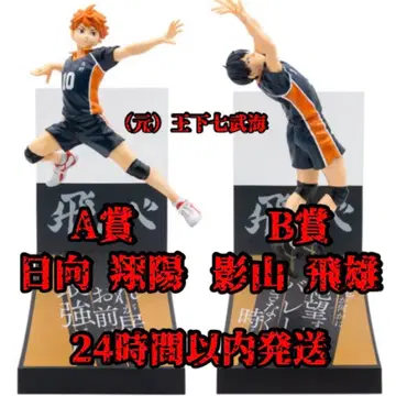 해피 복권 하이큐!! A상 히나타 쇼요 B상 카게야마 토비오