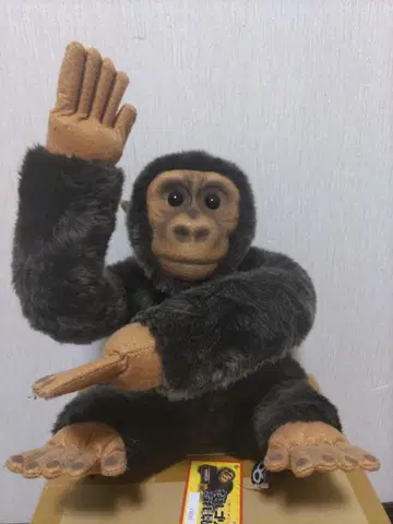 미개봉품 meiji 고릴라 봉제 인형