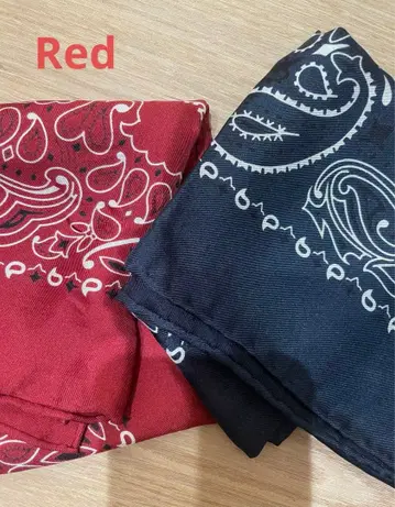 마니푸리 실크 스카프 53 페이즐리 반다나 [레드] manipuri