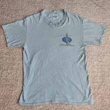 [ 골동품 ] Hanes 노스쇼어 서핑 T셔츠 빈티지