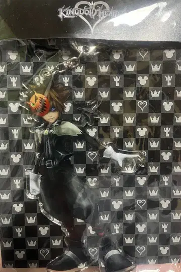 킹덤하츠 할로윈 소라 아크릴 스탠드