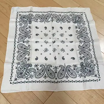 페이즐리 무늬 실크 스카프 마니풀리