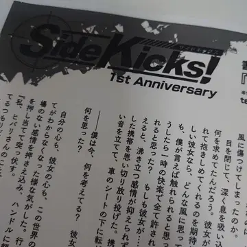 사이드킥스 혜택 페이퍼