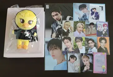 필릭스 skzoo stray kids 스키즈 트레이딩 카드 묶음 판매