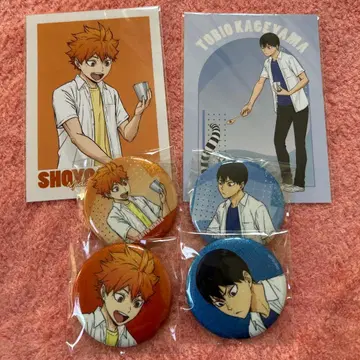 하이큐 토부 동물공원 히나타 쇼요 카게야마 토비오 캔 배지 브로마이드