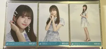 노기자카46 브로마이드 오토리사마 텐고쿠 스가와라 사츠키 컴프