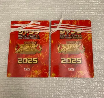 점프 빅토리 여권 2025 점프 페스타 2