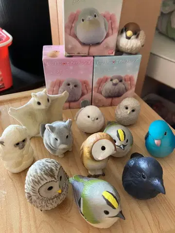 테노리 프렌즈 묶음 판매