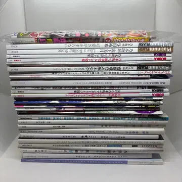 노기자카 잡지 묶음 판매