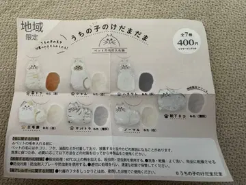 [정품] 지역 한정!! 우리 아이 털뭉치 9종