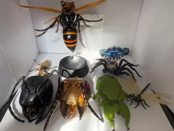 곤충 대도감 가챠