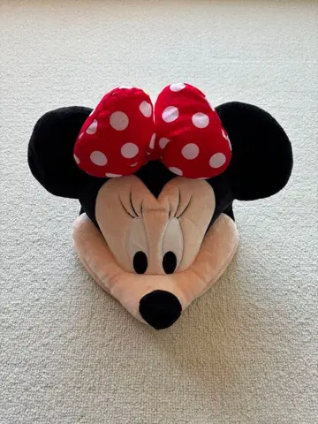 디즈니 미니 팬 캡