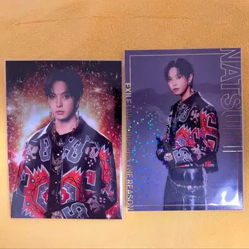 호리 나츠키 포토 카드 세트