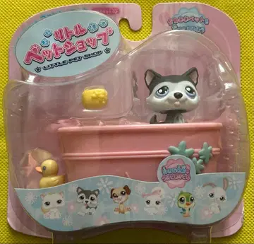 리틀펫샵 강아지 with 목욕 강아지 dog