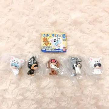 은혼 캰혼 스콧 전 5종 풀 컴프