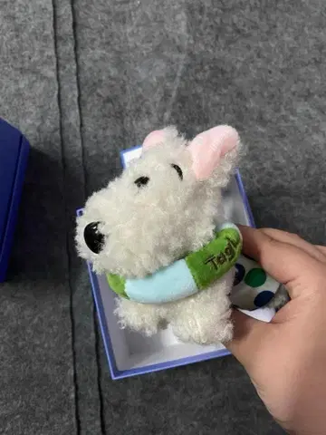 테디 봉제 인형 소형