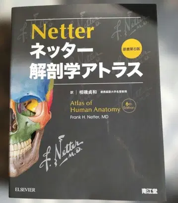 네터 해부학 아틀라스 제6판