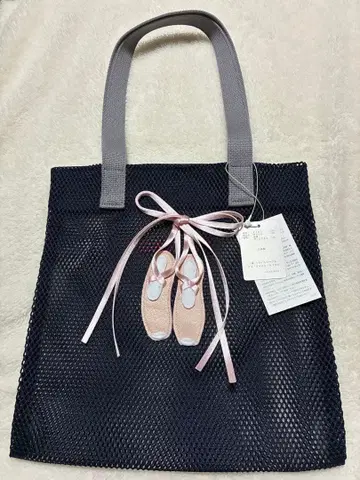 라들로 메쉬 토트백 네이비 발레 슈즈 LUDLOW