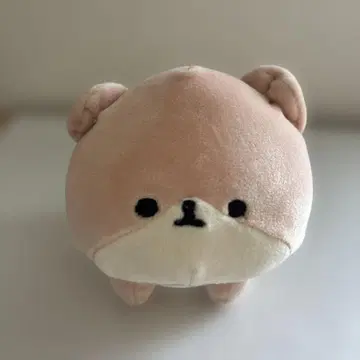 즉시 발송!! 택 포함, 모후모후 프렌즈 스코티시 폴드