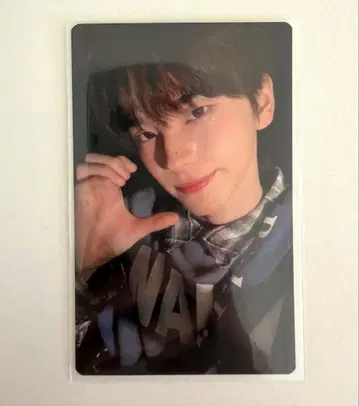 TWS 시뉴 유니버셜 라키드 로