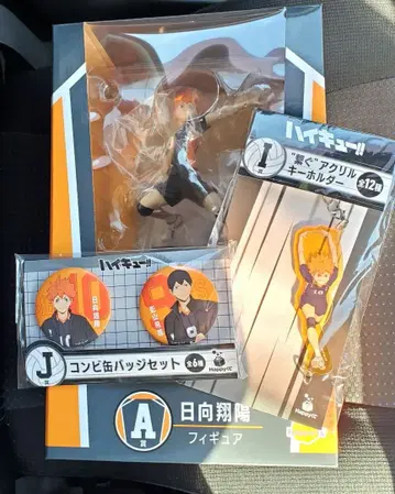 하이큐!! A상 히나타 쇼요 I상 J상