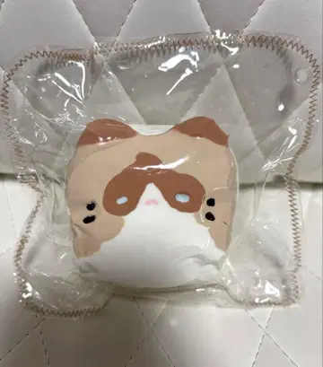 고양이 사각 스퀴즈