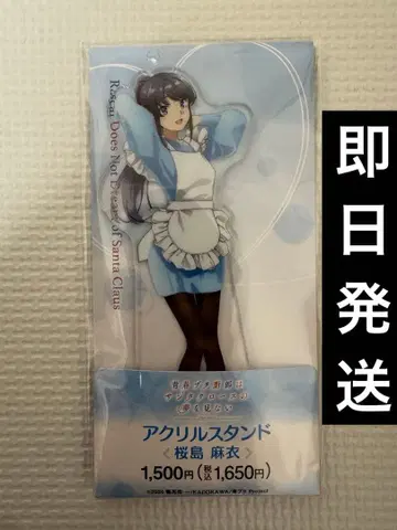 청춘 돼지는 페밀리마트 아크릴 스탠드 사쿠라지마 마이