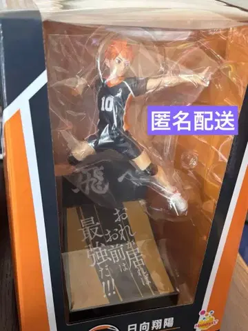 히나타 쇼요 A상 피규어 하이큐!! 해피 복권 Happy 복권