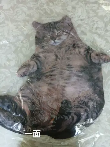 새상품 미사용 리얼 뚱냥이 디자인 쿠션 약 50cm