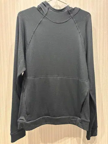 파타고니아 남성용 캐플린 서멀 후디