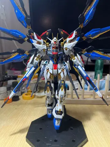 MGEX 스트라이크 프리덤 조립 완료