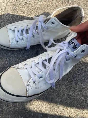 화이트 하이컷 스니커즈 루시안 페라피네