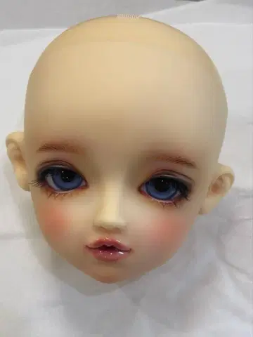 원오프 루나 2023년 헤드, 아이 인증서